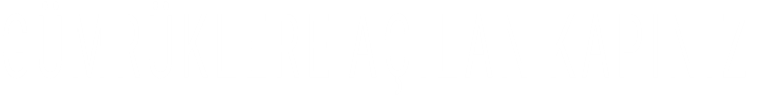 GÜMRÜKLERE AÇILAN KAPINIZ